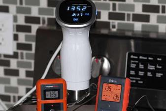 Thermopro TP20 Review — Is it a Good Thermometer Worth Your Money?