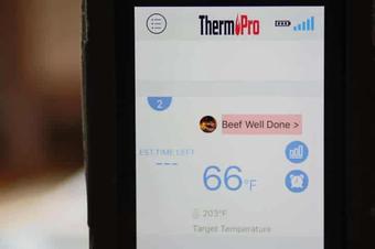 ThermoPro TP25 Thermometer: tangled up in meat