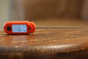 Thermoworks BlueDOT Review - Thermo Meat