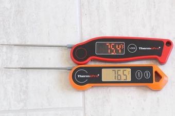 ThermoPro TP19H Review - Thermo Meat