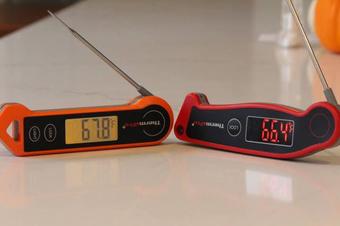 ThermoPro Digital Meat Thermometer (TP19H) Meat Thermometer Review -  Consumer Reports