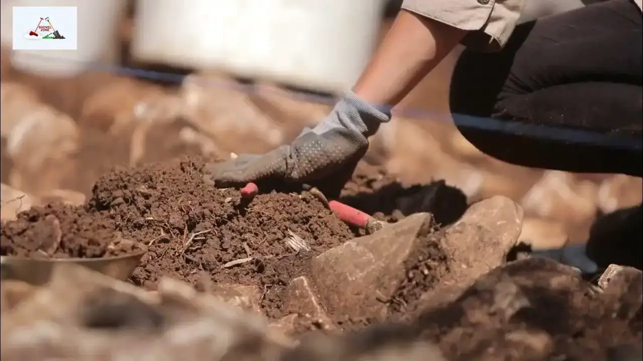 Ivar the Boneless: Unearthing the Legendary Viking's Skeleton - Viking Style