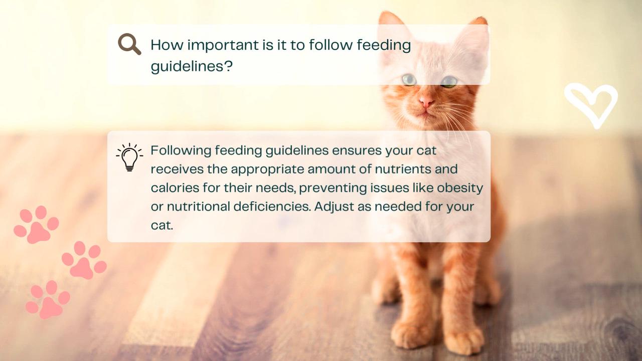 Is wet or dry food better for cats? Both wet and dry food can provide