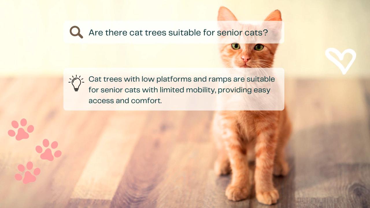 Can cats overdose on catnip? No, cats cannot overdose on catnip, but