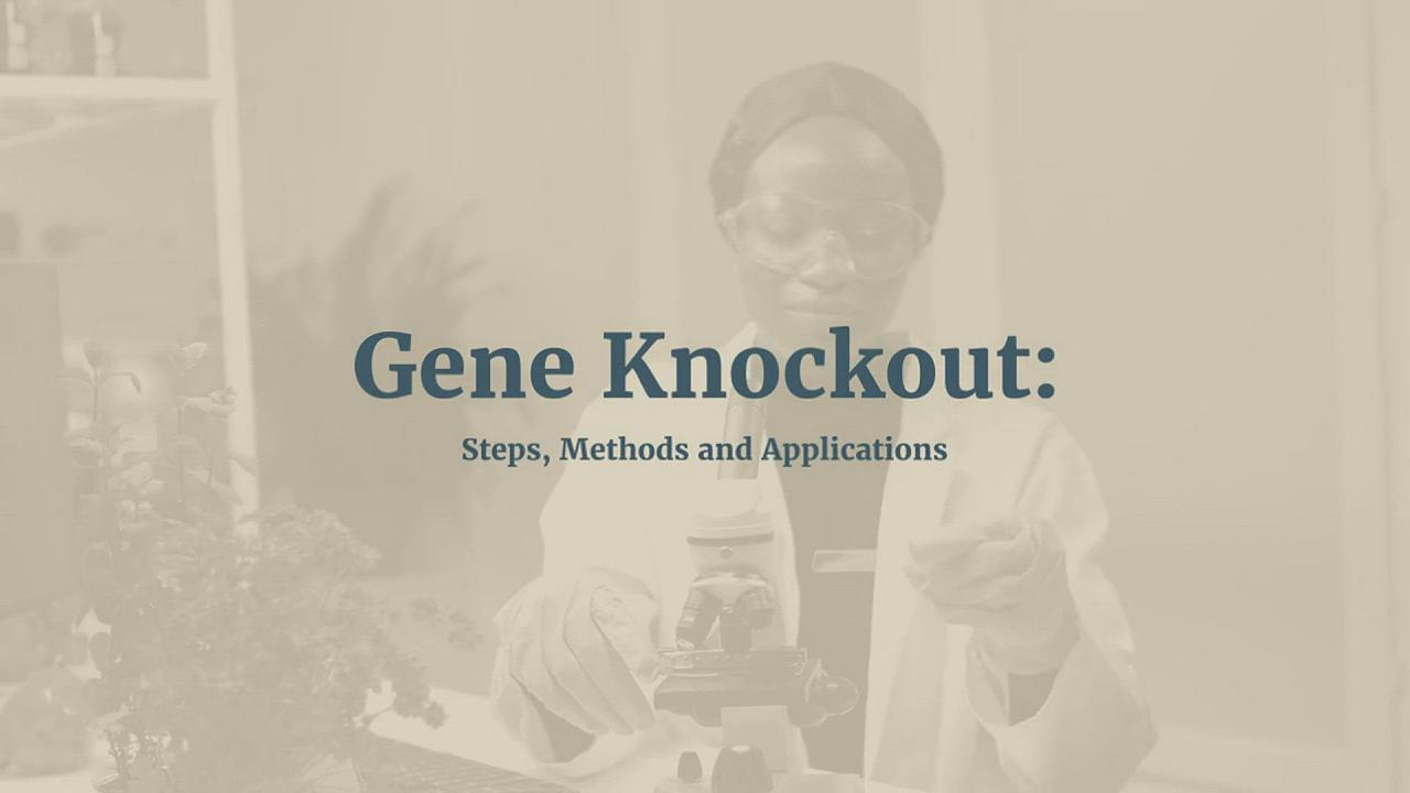 Gene Knockout Decoded Definition, Steps, Methods and Applications