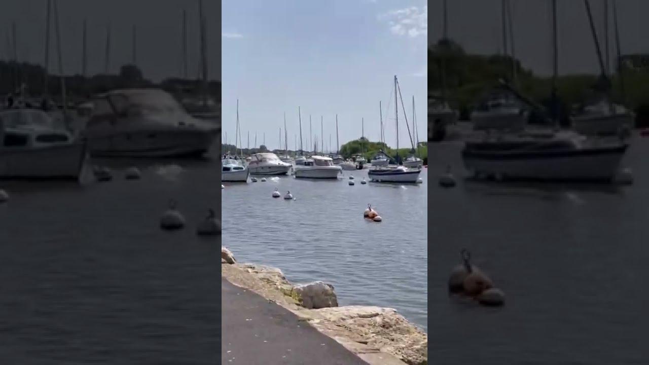 'Video thumbnail for 🔴 Christchurch Quay Today! Looking Beautiful #christchurch #dorset #christchurchharbour'