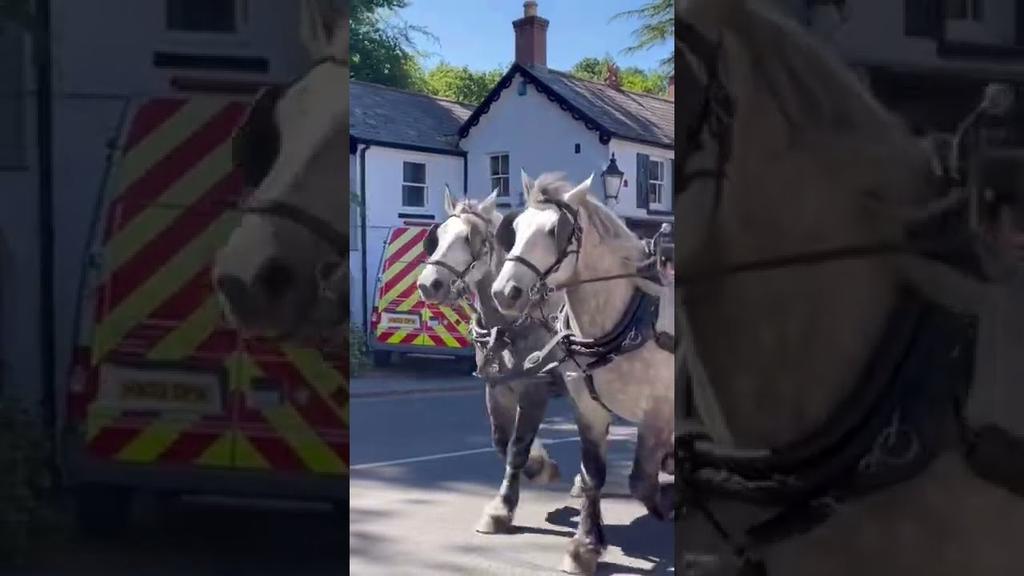 'Video thumbnail for 🔴 Burley Village Horse Cart Rides #newforest #burley'