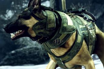 Call of Duty: Ghosts dog Riley takes commands through headset - Polygon