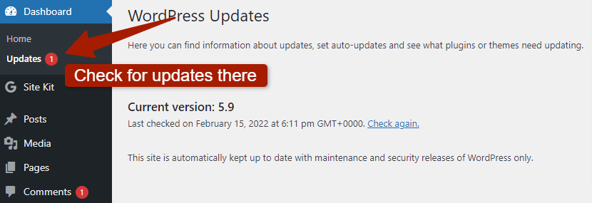 checking for updates in wordpress