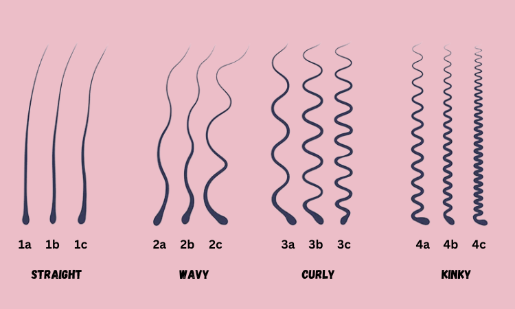 Hair Thickness Types Classification Set Skin Crosssection With Fine  Normal Thick Strands Anatomical Structure Scheme Cartoon Vector  Illustration Royalty Free SVG Cliparts Vectors And Stock Illustration  Image 174279289