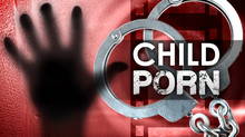 CONVICTED FELON PLEADS GUILTY TO NEW CHILD PORNOGRAPHY CHARGE ...