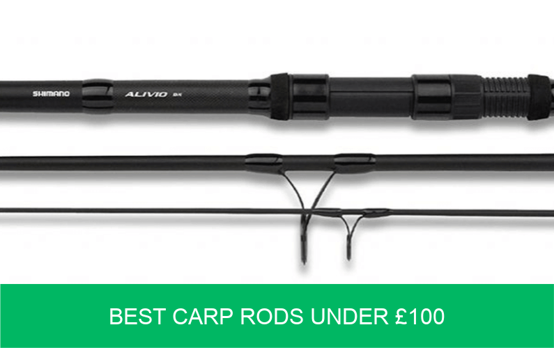 good carp rods