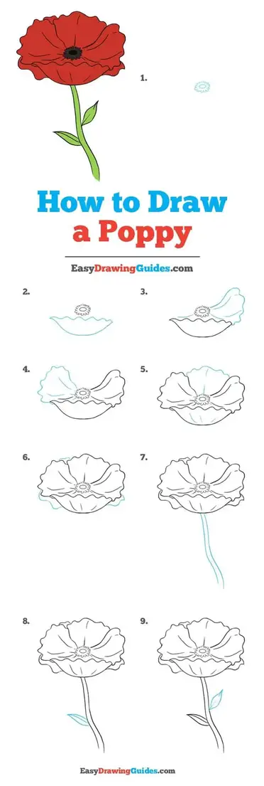 Featured image of post How To Draw A Lily Pad Step By Step Easy - 427x640 trendy idea draw easy flowers how to a lily flower step by youtube.