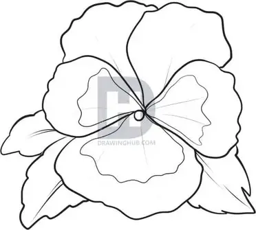 How To Draw Flowers Diy Thought how to draw flowers diy thought