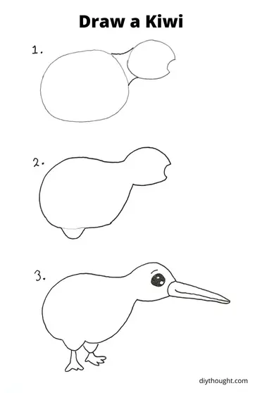 Featured image of post How To Draw A Kiwi Bird Kiwi bird black and white graphic printable wall art