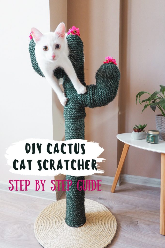 diy cactus cat scratcher