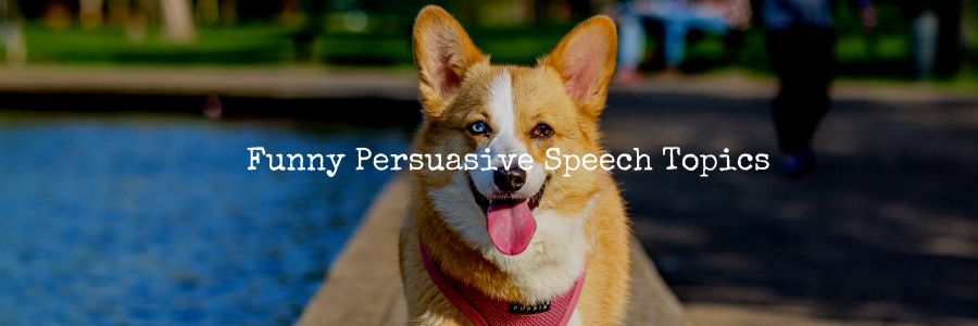 170+ Persuasive Speech Topics about Animals 2023 - Elimu Centre