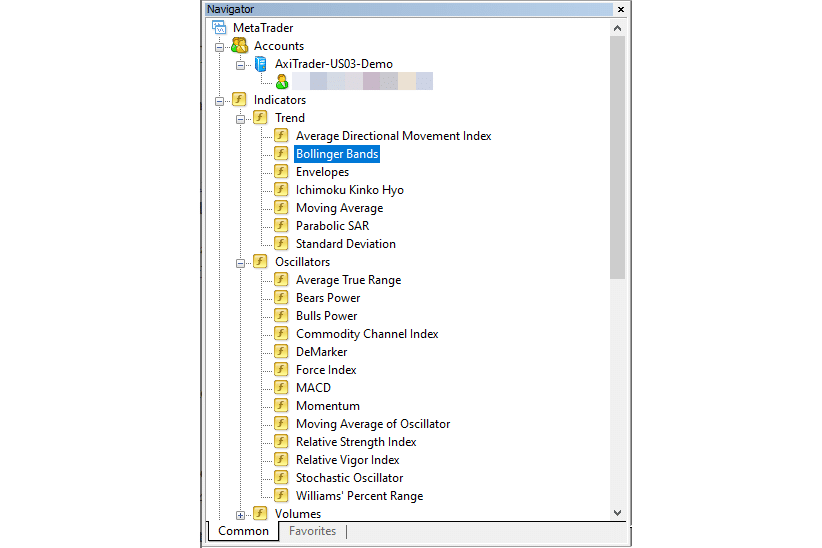 program independently developed in MetaQuotes Language 4 by the user and functioning as a technical indicator