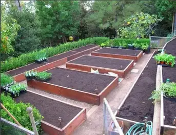 Free Vegetable Garden Layout Plans And Planting Guides Free Vegetable Garden Layout Plans And, How Do You Plot A Vegetable Garden Layout