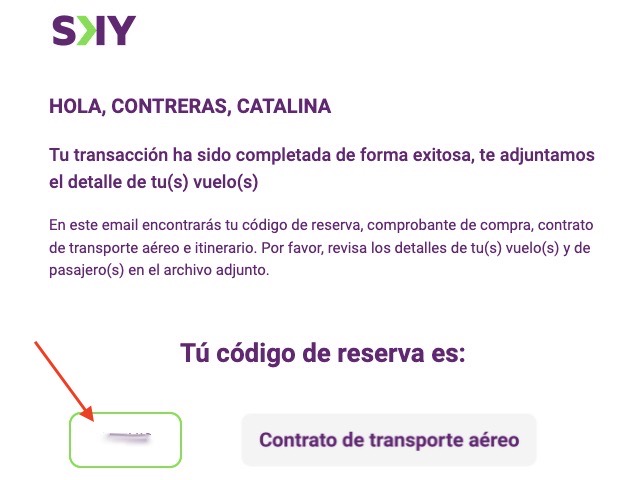 Cómo hacer check-in en Sky Airline en Chile? – Porque me gusta viajar