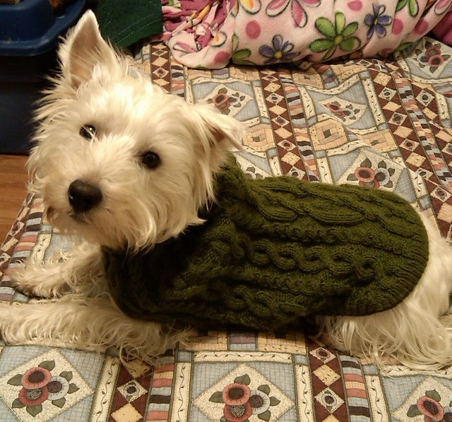 cable knit dog sweater pattern