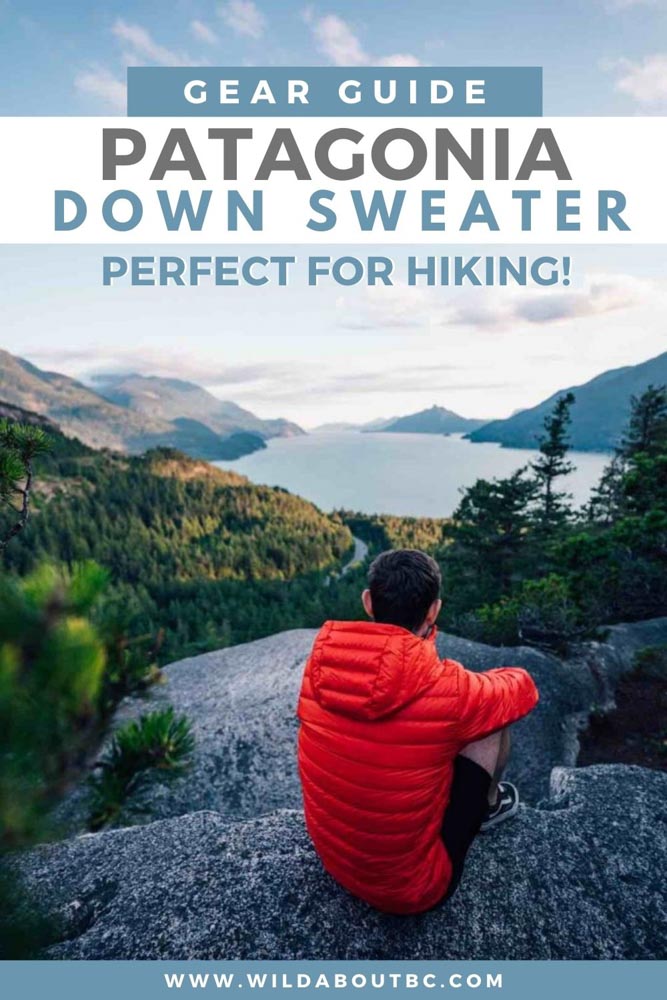 Patagonia down hot sale sweater sizing