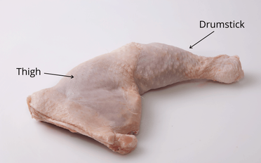 chicken leg dissection